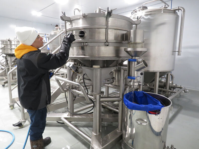 Hemp processing